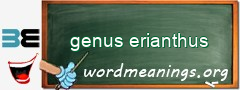 WordMeaning blackboard for genus erianthus